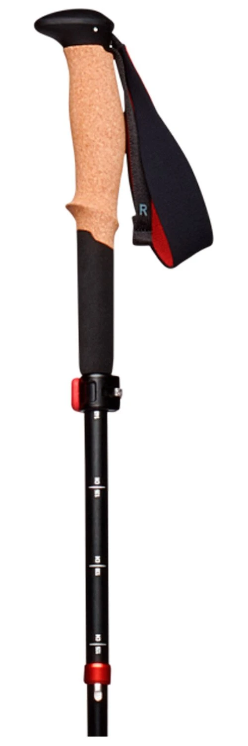 Stöcke Black Diamond Pursuit Flz Black-Octane – Bild 2