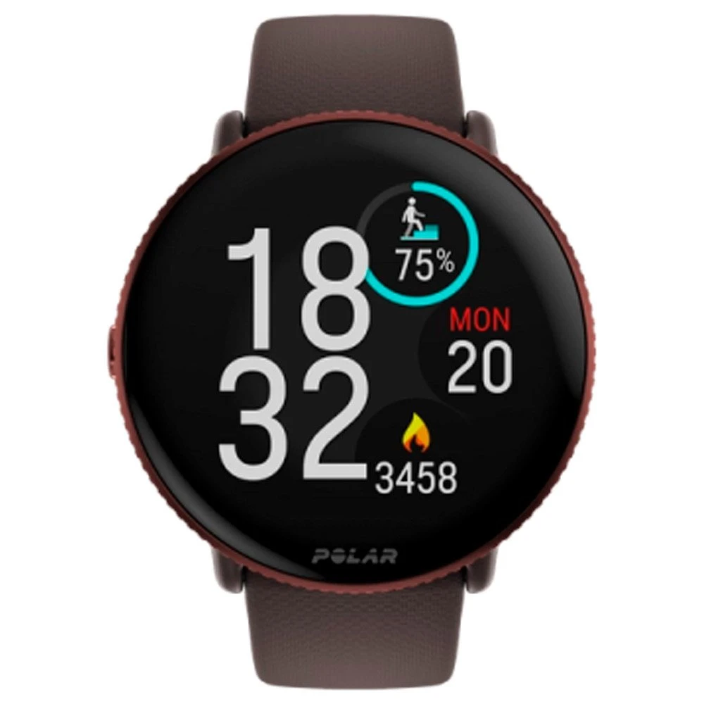 GPS-Uhren Polar Ignite 3 Brown Copper