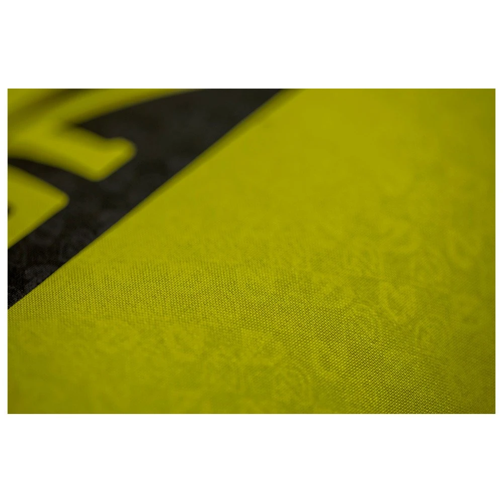 Isomatte Nemo Astro Long Wide Birch Bud – Bild 3