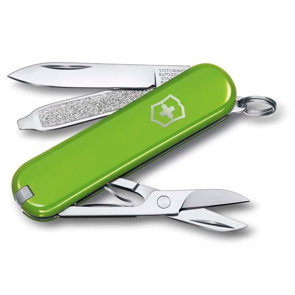 Messer Victorinox Classic SD Smashed Avocado